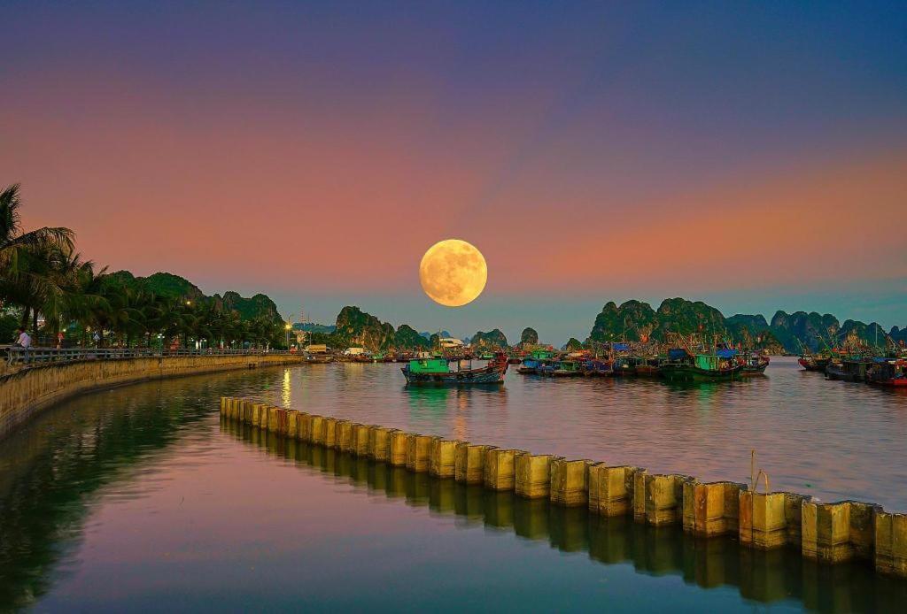 Cozy House Lejlighed Ha Long Eksteriør billede